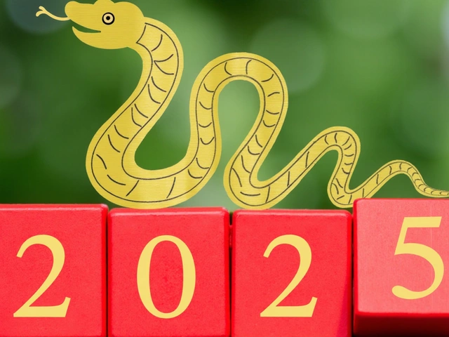 Embracing the Year of the Snake: Chinese New Year 2025 Celebrations and Traditions