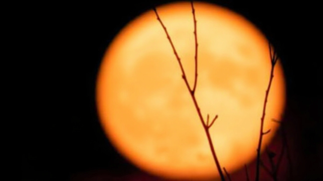 July 2025 Buck Moon: Best Viewing Times and Skywatching Tips for the UK