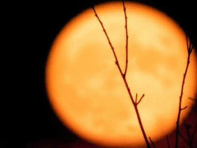 July 2025 Buck Moon: Best Viewing Times and Skywatching Tips for the UK